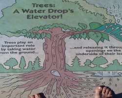 In addition to collecting some fun memories, children are taught the basics of water cycles including evaporation, freezing, and condensation. They ca